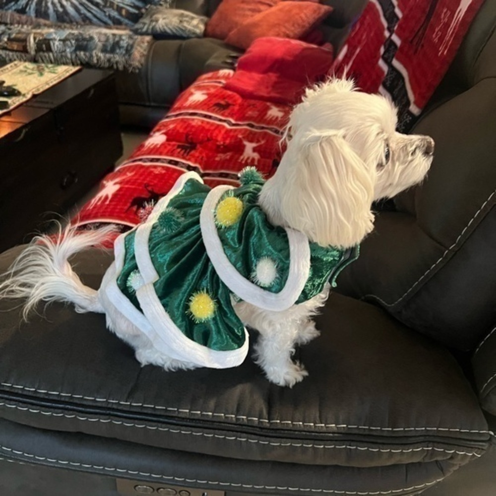 Christmas Tree Puppy Fress SMALL